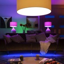 Philips Hue Renkli Akıllı Ampul E27 Bluetooth Özellikli