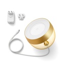 Philips Hue Iris Special Edition Gold