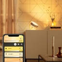 Philips Hue Iris Special Edition Gold